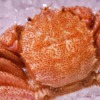 横浜カニ食べ放題　アイキャッチ画像